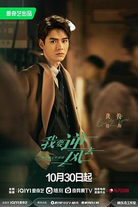 西北seo排名哪家好